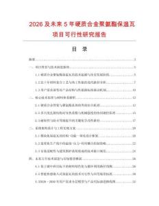 2026及未來5年硬質合金聚氨酯保溫瓦項目可行性研究報告