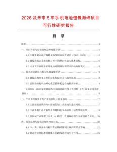 2026及未來(lái)5年手機(jī)電池鍍鎳海綿項(xiàng)目可行性研究報(bào)告