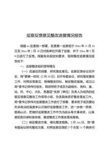 巡察反饋意見(jiàn)整改進(jìn)展情況報(bào)告