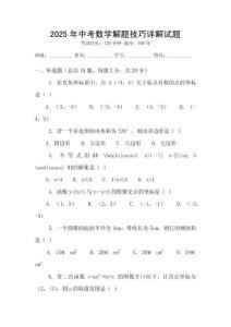 2025年中考數學解題技巧詳解試題