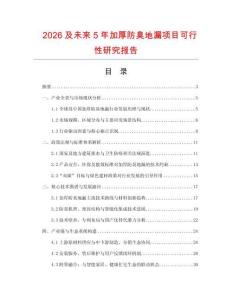 2026及未來5年加厚防臭地漏項目可行性研究報告