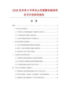 2026及未來5年單向止回鼓膜電磁閥項目可行性研究報告