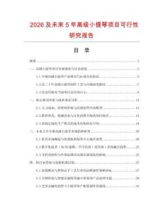 2026及未來5年高級小提琴項目可行性研究報告
