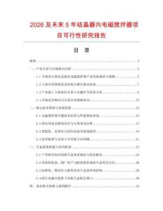 2026及未來5年結(jié)晶器內(nèi)電磁攪拌器項目可行性研究報告