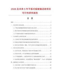 2026及未來5年平板式板鏈輸送線項目可行性研究報告