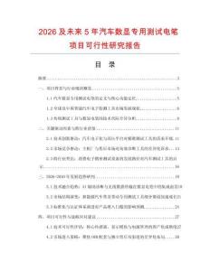 2026及未來5年汽車數(shù)顯專用測試電筆項目可行性研究報告