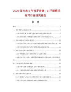 2026及未來5年吡羅昔康－β-環(huán)糊精項目可行性研究報告
