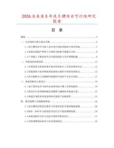 2026及未來5年洗片槽項目可行性研究報告