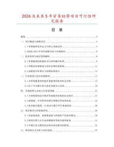 2026及未來5年穿條鏈帶項目可行性研究報告