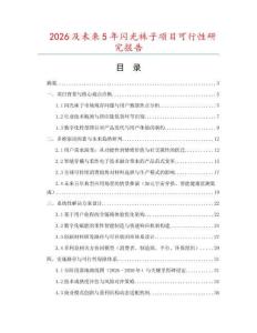 2026及未來5年閃光襪子項目可行性研究報告