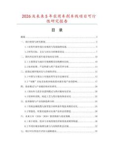 2026及未來5年農(nóng)用車剎車線項目可行性研究報告