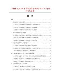 2026及未來5年清眩治癱丸項目可行性研究報告