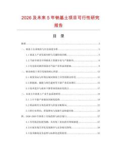 2026及未來5年鈉基土項目可行性研究報告