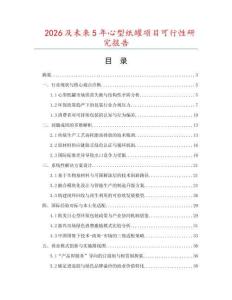 2026及未來5年心型紙罐項目可行性研究報告