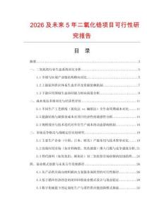 2026及未來5年二氧化鋯項目可行性研究報告