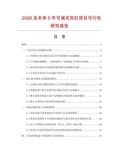 2026及未來5年可調(diào)式雙杠項(xiàng)目可行性研究報(bào)告