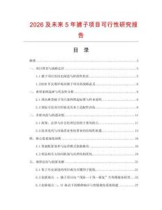 2026及未來5年擄子項目可行性研究報告