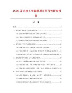 2026及未來5年磁墊項(xiàng)目可行性研究報(bào)告