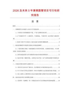 2026及未來5年黃銅圓管項目可行性研究報告