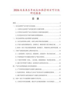 2026及未來5年雙頭加熱管項目可行性研究報告