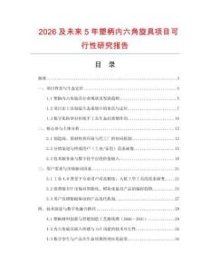 2026及未來5年塑柄內(nèi)六角旋具項目可行性研究報告