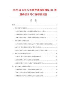 2026及未來5年單聲道超級模擬XL通道條項目可行性研究報告