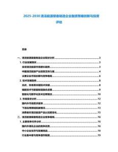 2025-2030清潔能源裝備制造企業融資策略創新與投資評估
