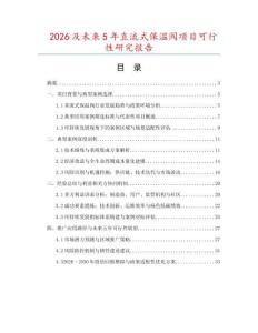 2026及未來5年直流式保溫閥項目可行性研究報告