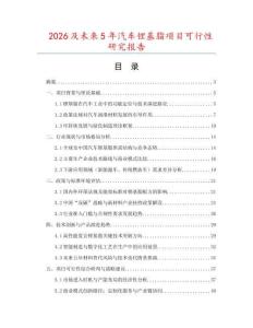 2026及未來5年汽車鋰基脂項目可行性研究報告