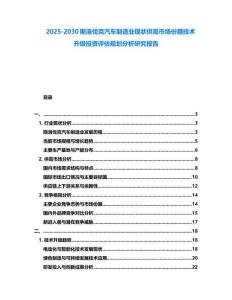 2025-2030斯洛伐克汽車制造業現狀供需市場份額技術升級投資評估規劃分析研究報告