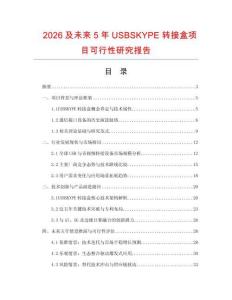 2026及未來5年USBSKYPE轉接盒項目可行性研究報告