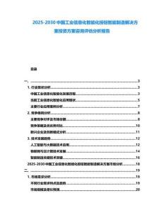 2025-2030中國工業信息化智能化按鈕智能制造解決方案投資方案咨詢評估分析報告