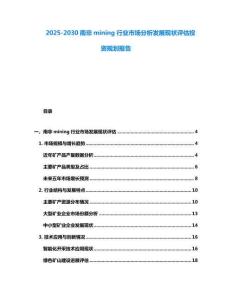 2025-2030南非mining行業(yè)市場(chǎng)分析發(fā)展現(xiàn)狀評(píng)估投資規(guī)劃報(bào)告
