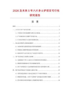 2026及未來5年六片多士爐項(xiàng)目可行性研究報(bào)告