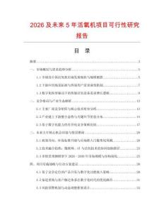 2026及未來5年活氧機項目可行性研究報告