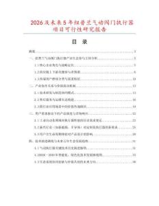 2026及未來5年紐普蘭氣動閥門執行器項目可行性研究報告