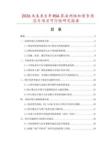 2026及未來5年RSA算法網絡加密專用芯片項目可行性研究報告