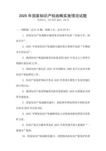 2025年國(guó)家知識(shí)產(chǎn)權(quán)戰(zhàn)略實(shí)施情況試題