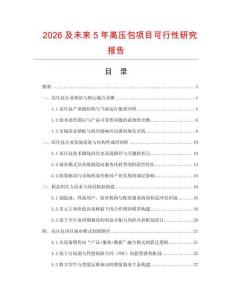 2026及未來5年高壓包項目可行性研究報告