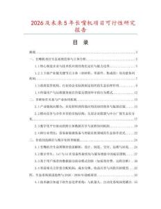 2026及未來(lái)5年長(zhǎng)嘴機(jī)項(xiàng)目可行性研究報(bào)告