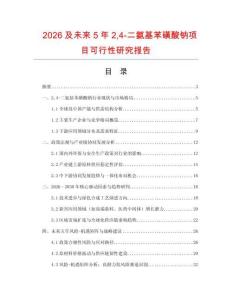 2026及未來5年24-二氨基苯磺酸鈉項目可行性研究報告