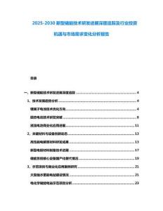 2025-2030新型儲能技術研發進展深度追蹤及行業投資機遇與市場需求變化分析報告