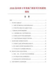 2026及未來(lái)5年雙拱門項(xiàng)目可行性研究報(bào)告