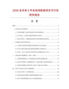2026及未來5年雜色純膠板項目可行性研究報告