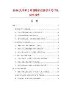 2026及未來(lái)5年貓眼石掛件項(xiàng)目可行性研究報(bào)告