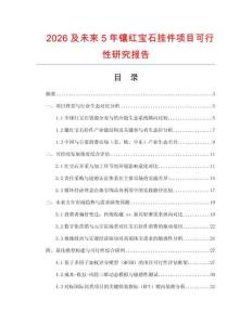 2026及未來5年鑲紅寶石掛件項目可行性研究報告