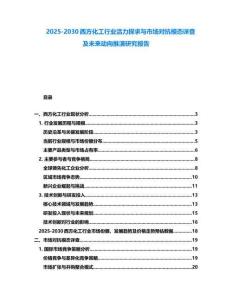 2025-2030西方化工行業(yè)活力探求與市場對抗模態(tài)詳查及未來動(dòng)向推演研究報(bào)告