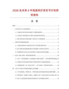 2026及未來5年短弧汞燈項目可行性研究報告
