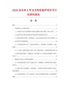 2026及未來5年法式熱鐵板爐項目可行性研究報告