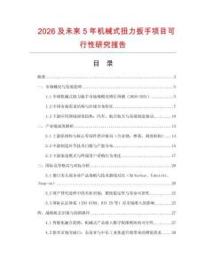 2026及未來5年機械式扭力扳手項目可行性研究報告